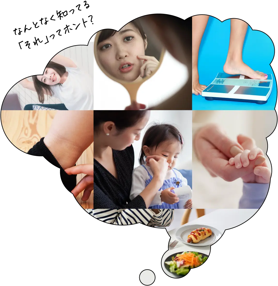 なんとなく知ってる「それ」ってホント？